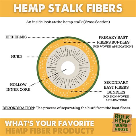 Hemp Stalk Fibers In 2021 Hemp Industrial Hemp Fiber