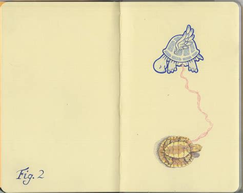 Turtle Spirit By Matt136 On Deviantart