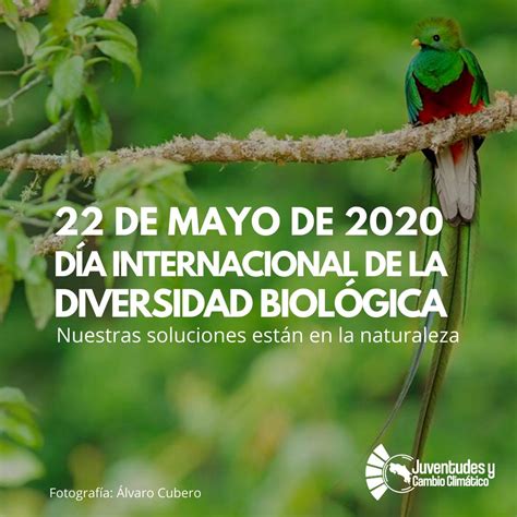 Sabías que existe el Día Internacional de la Diversidad Biológica