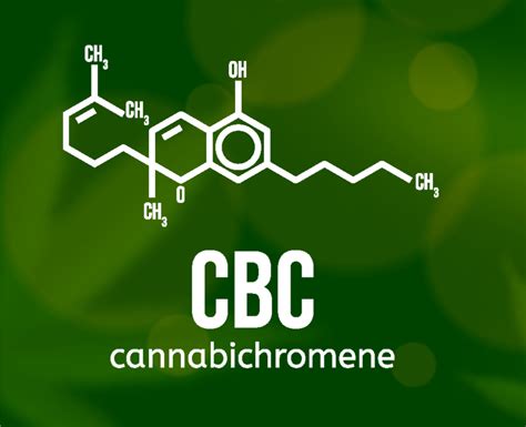 Cannabichromene How Cbc Interacts With Our Brains Bliss Molecule