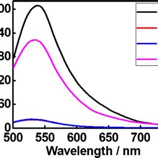 Fluorescence Spectra Of DNA AgNCs A DNA AgNCs AuNPs B