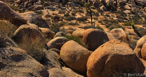 Boulder Field 1 Some Of The Many Boulders Within A Larger Flickr