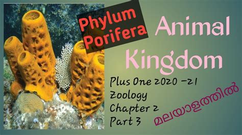 Kerala Scert Plus One Zoology Chapter 2 Animal Kingdom In Malayalam