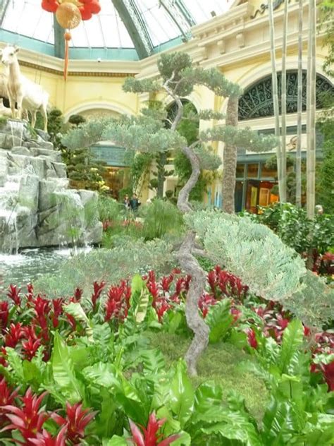 Bellagio Conservatory & Botanical Gardens In 2023