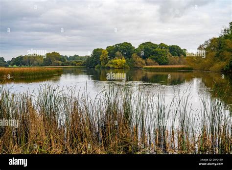 Rewilding Pioneers Hi Res Stock Photography And Images Alamy