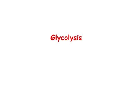 Ppt Understanding Glycolysis Essential Cellular Process Powerpoint Presentation Id9513316