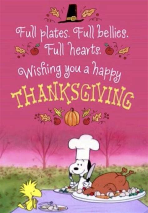 Pin By Sandy Labrie On Snoopy Friends Happy Thanksgiving Pictures