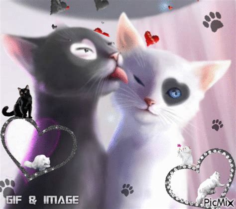 Update More Than 88 Cat  Wallpaper Latest Vn