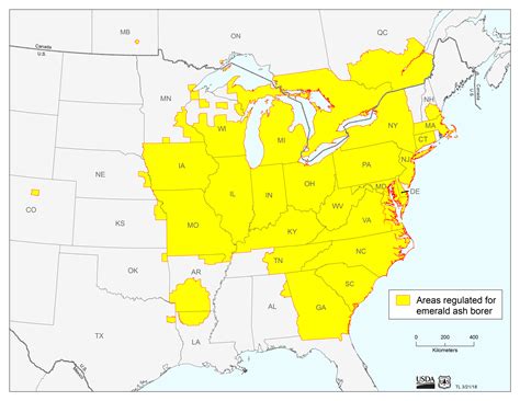 Emerald Ash Borer | Vermont Invasives