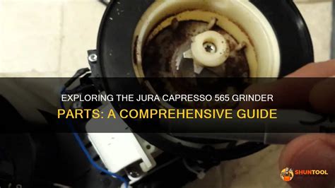 Exploring The Jura Capresso 565 Grinder Parts: A Comprehensive Guide | ShunTool