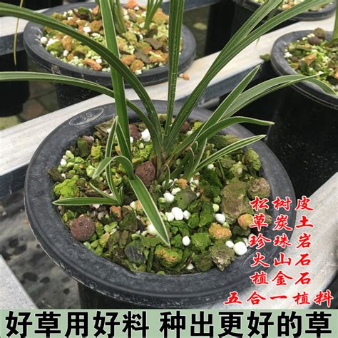 铁皮石斛蝴蝶兰君子兰专用兰花土基质植料多肉营养土花生壳松树皮虎窝淘