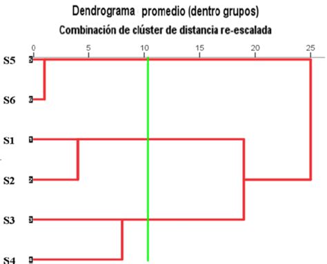 Dendrograma Que Muestra Relaciones Jerárquicas Entre Transectos