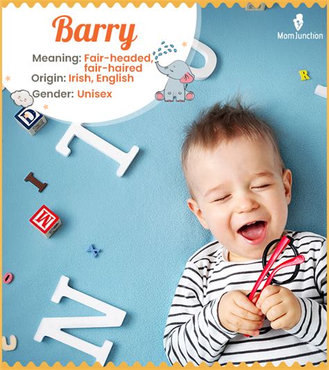 Barry Name Meaning Origin History And Popularity