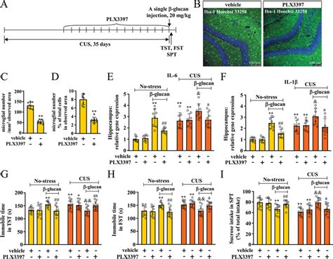 Depletion Of Microglia By PLX3397 Abolishes The Antidepressant Like