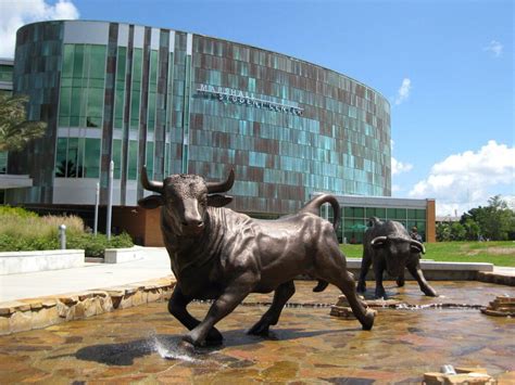 University of South Florida - Great Value Colleges