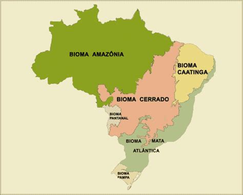 Geographically!: Theme 2 - Brazil - The Miracle of the Cerrado