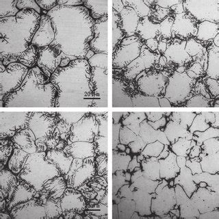 Optical Micrographs Of As Cast Mg XGd 2 6Nd 0 5Zn 0 5Zr Alloys A 0