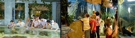 Exhibits - Aquarium Restaurant - Kemah, TX