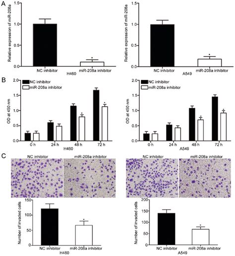 Mir 208a Downregulation Inhibits The Proliferation And Invasion Of H460