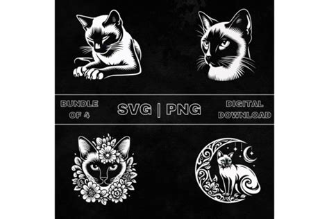 Siamese Cat Svg Bundle Graphic By Younique Aartwork · Creative Fabrica