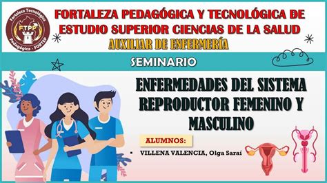 Enfermedades Del Sistema Reproductor Masculino Y Femenino SaraÍ