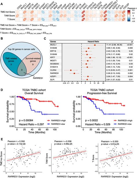 Frontiers Integrative Analysis Identifies Cancer Cell Intrinsic