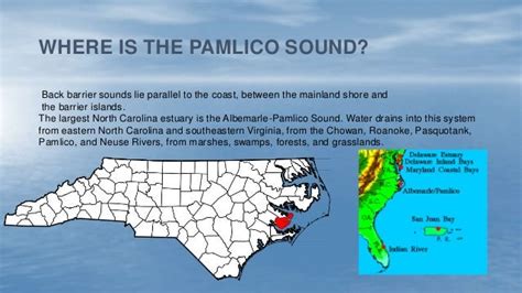 Pamlico sound estuary