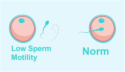 Iui Vs Ivf Cases Success Rate And Cost Comparison Sunshine Blog