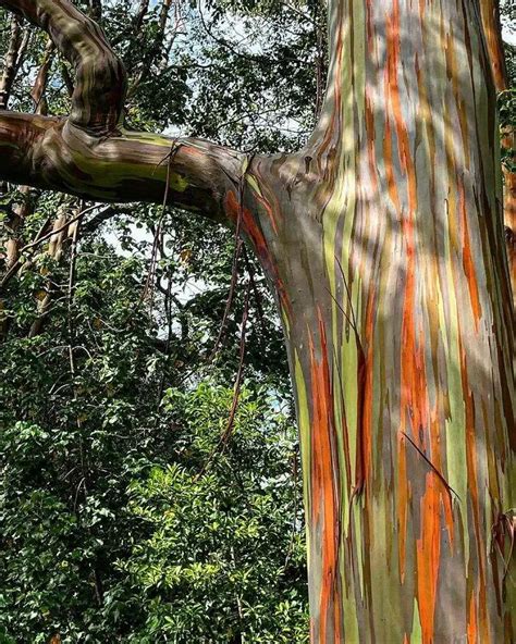 30 Of The Most Incredible, Stunning Natural Phenomena