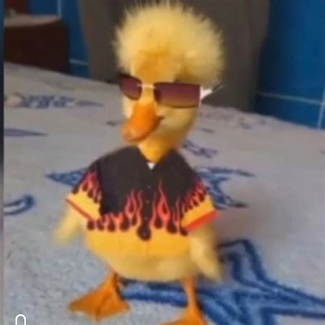 El Pato Fachero Youtube