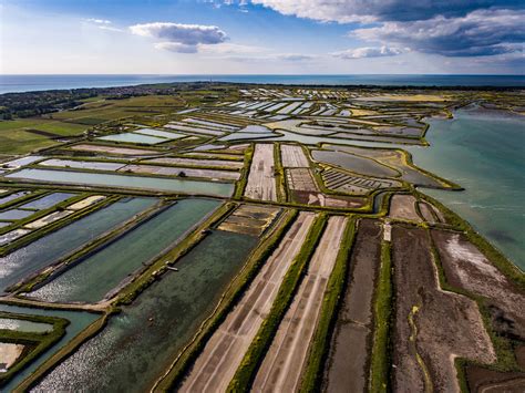 La Biodiversit Du Fier Dars Une Renomm E Mondiale Depuis Ans