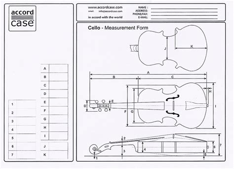 Accord Cello Case