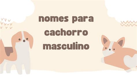 Nomes Para Cachorro Masculino Encontre O Nome Perfeito Para Seu Melhor