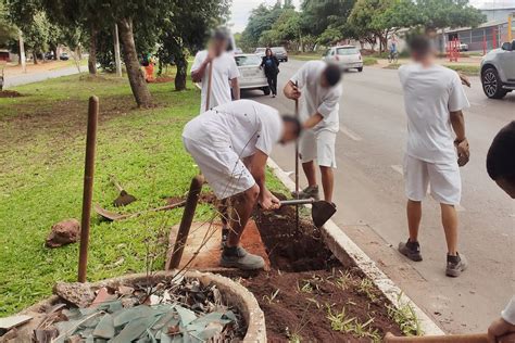 Ap S Fortes Chuvas Ceil Ndia Recebe A Es Emergenciais De Limpeza