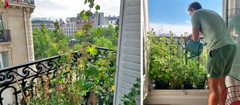 Comment végétaliser un balcon pour attirer les oiseaux comme ce