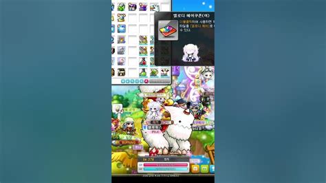 메이플 코디러의 급발진😯 메이플스토리 Maplestory Youtube