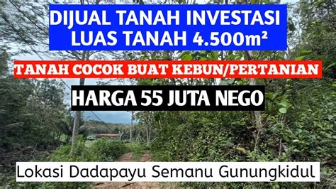 DIJUAL TANAH LUAS 4 500m² COCOK BUAT INVESTASI JANGKA PANJANG HARGA