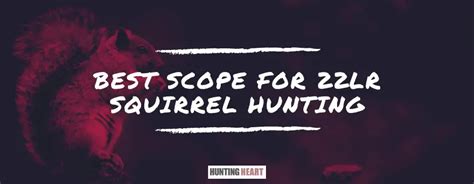 Best Scope For Lr Squirrel Hunting Hunting Heart