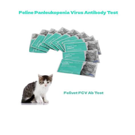 Feline Panleukopenia Fpv Virus Antibody Test For Cat China