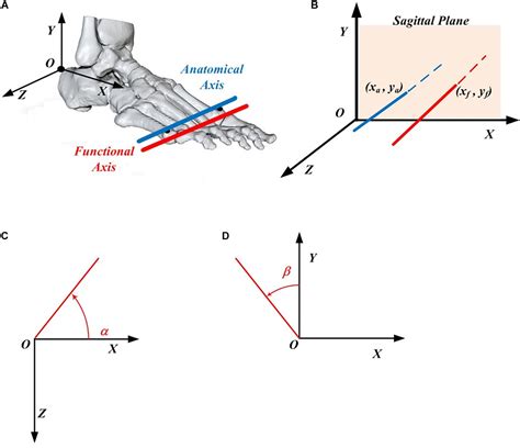 Frontiers The Impact Of Locomotor Speed On The Human