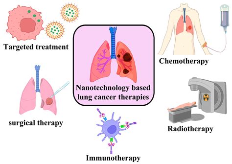 Genes Free Full Text Potential Applications Of Nanoparticles In