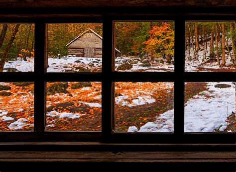 nature, Forest, Window, Fall, Snow, Winter Wallpapers HD / Desktop and Mobile Backgrounds