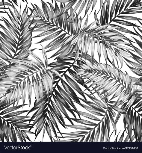 Seamless Pattern Tropic Jungle Leaves Black White Vector Image