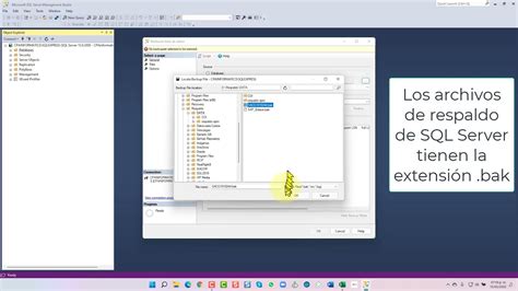 En Restaurar Base De Datos En Sql Server Con Sql Server