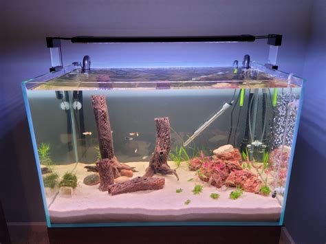 Gallon Aquarium For Sale Ads For Used Gallon Aquariums