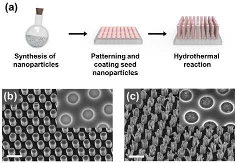 Biosensors Free Full Text Plasmonic Nanopillarsa Brief