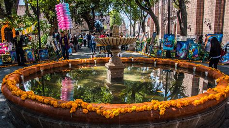 2016 Mexico Morelia El Jardín De Las Rosas 2 Of 2 Flickr