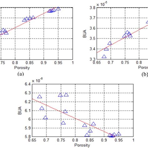 Figure A Trabecular Bone Sample With A Porosity Of A O