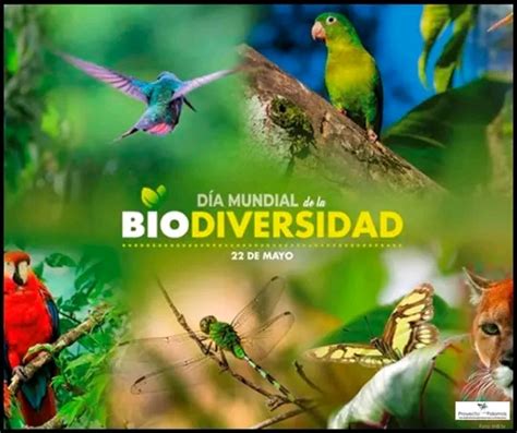 Día Internacional De La Diversidad Biológica Noticias Upr