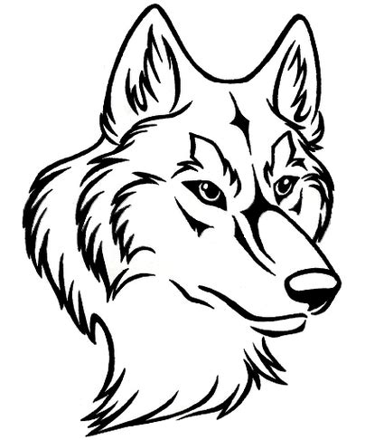 Wolf Face Drawing at GetDrawings | Free download